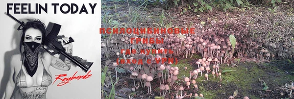 синтетический гашиш Новозыбков