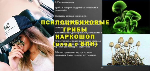 apvp Новодвинск