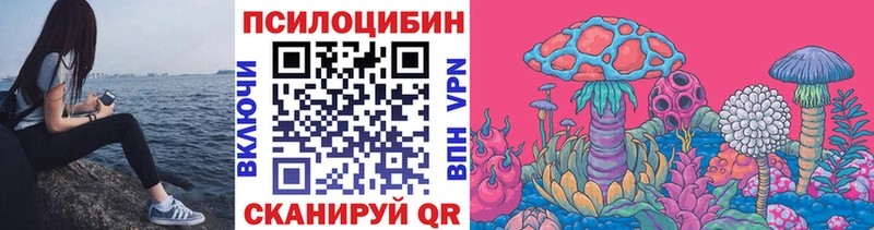 Купить закладки  Волгодонск  Псилоцибиновые грибы мухоморы 